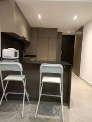 Park Colonial (D13), Condominium #515597691